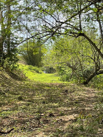 Eighth image of Green Island in Green Island, Hanover, Jamaica - property is For Sale