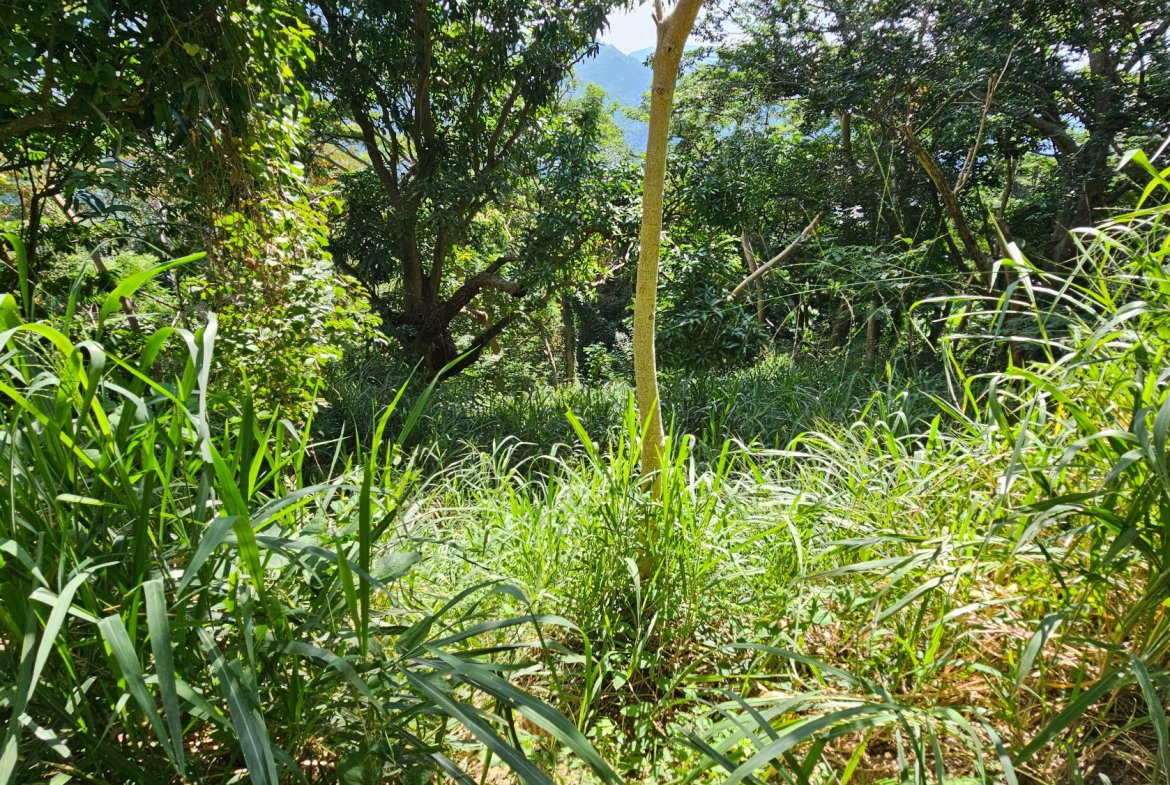 Fourth image of 4c Robin Fisher Close in Irish Town P.A., St. Andrew, Jamaica - property is For Sale