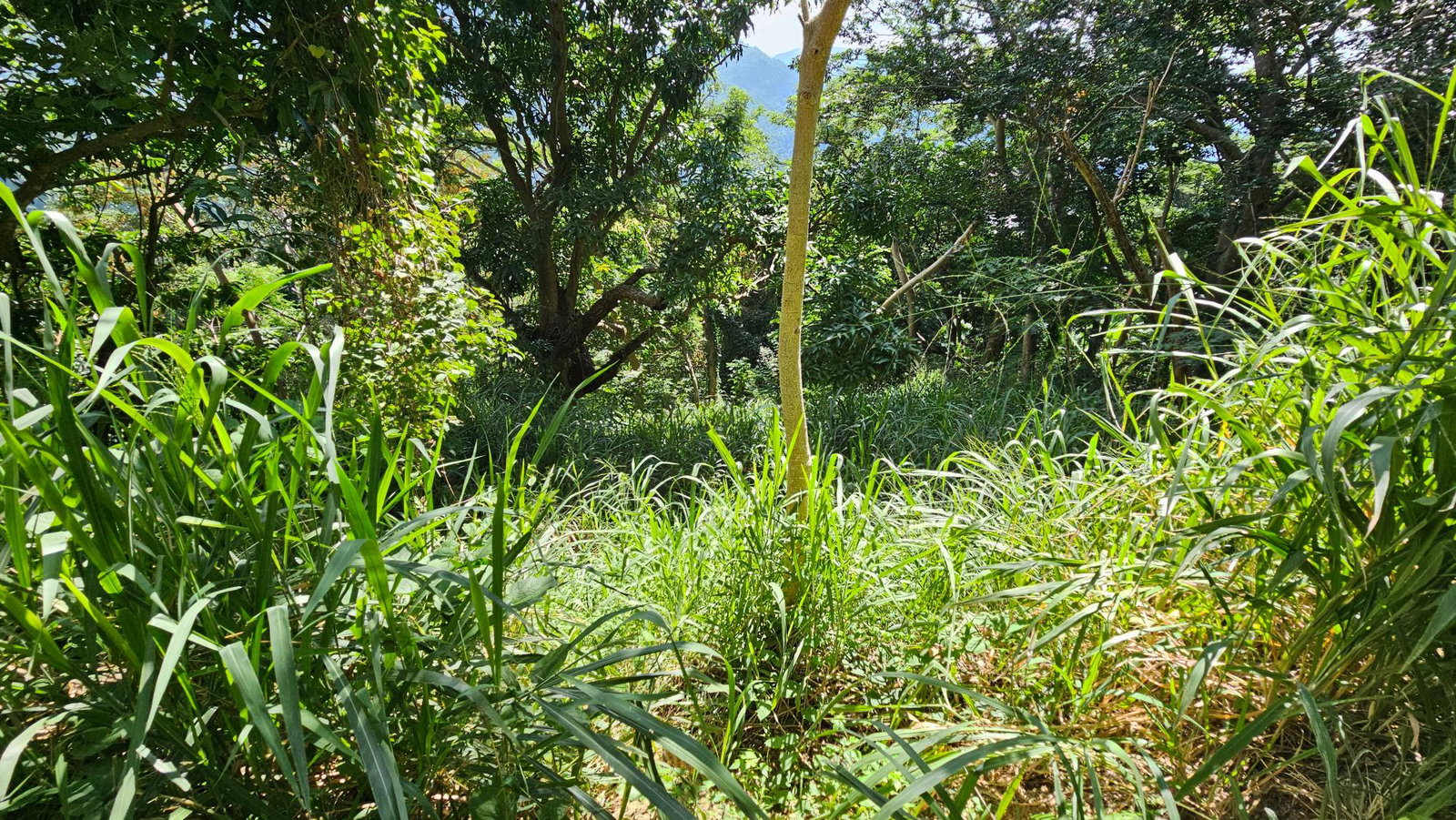 Fourth image of 4c Robin Fisher Close in Irish Town P.A., St. Andrew, Jamaica - property is For Sale