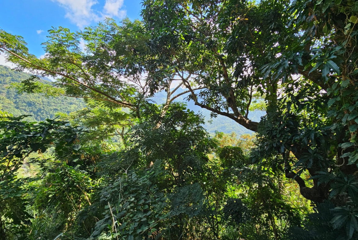 Fifth image of 4c Robin Fisher Close in Irish Town P.A., St. Andrew, Jamaica - property is For Sale