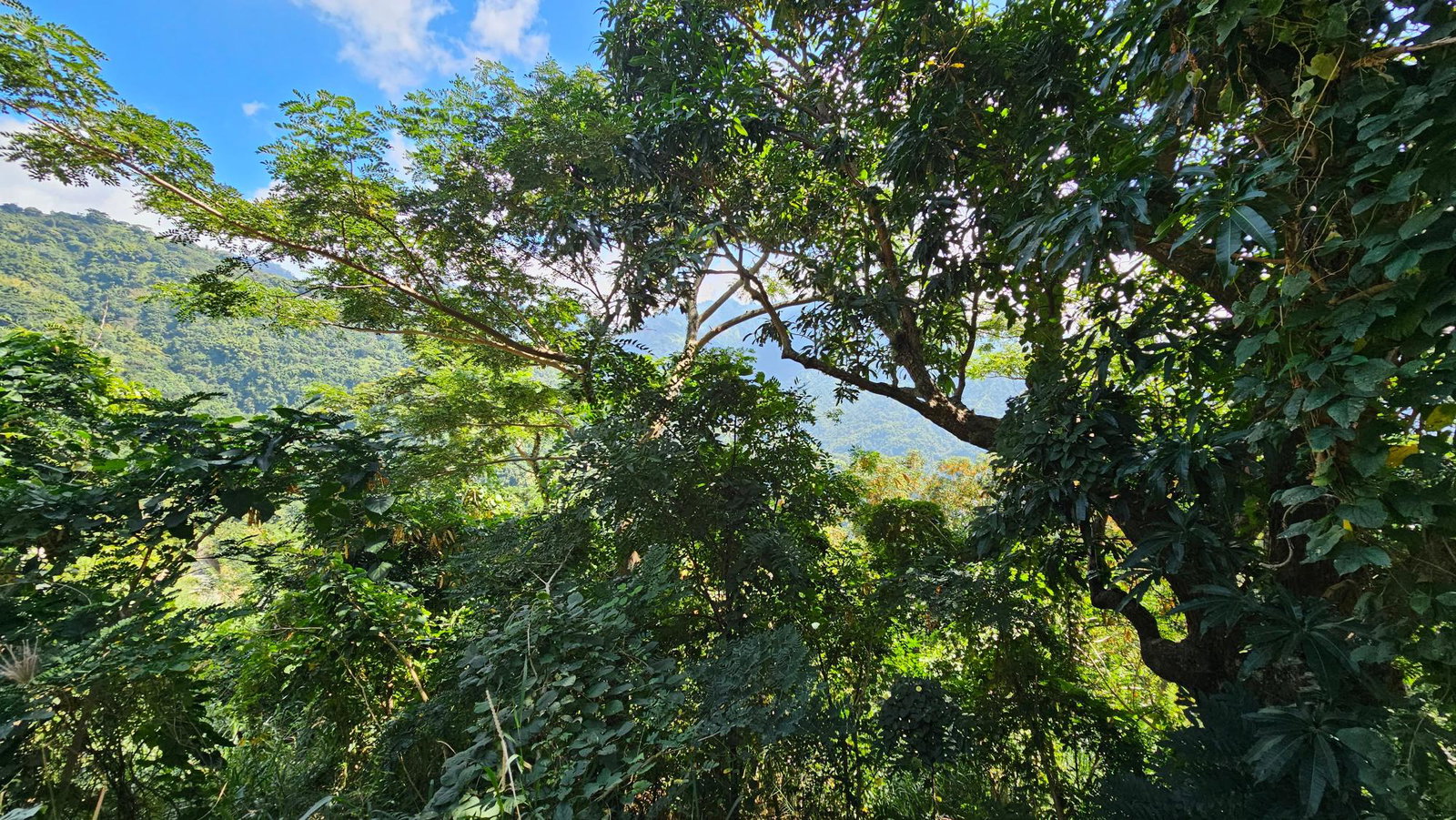 Fifth image of 4c Robin Fisher Close in Irish Town P.A., St. Andrew, Jamaica - property is For Sale