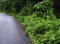 First image of Land Part of Cheltenham in Santa Cruz, St. Elizabeth, Jamaica - property is For Sale
