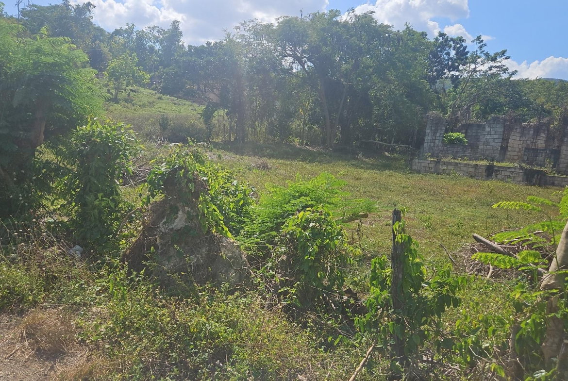 Second image of Waterloo Burnt Ground, sa in Burnt Ground, St. Elizabeth, Jamaica - property is For Sale