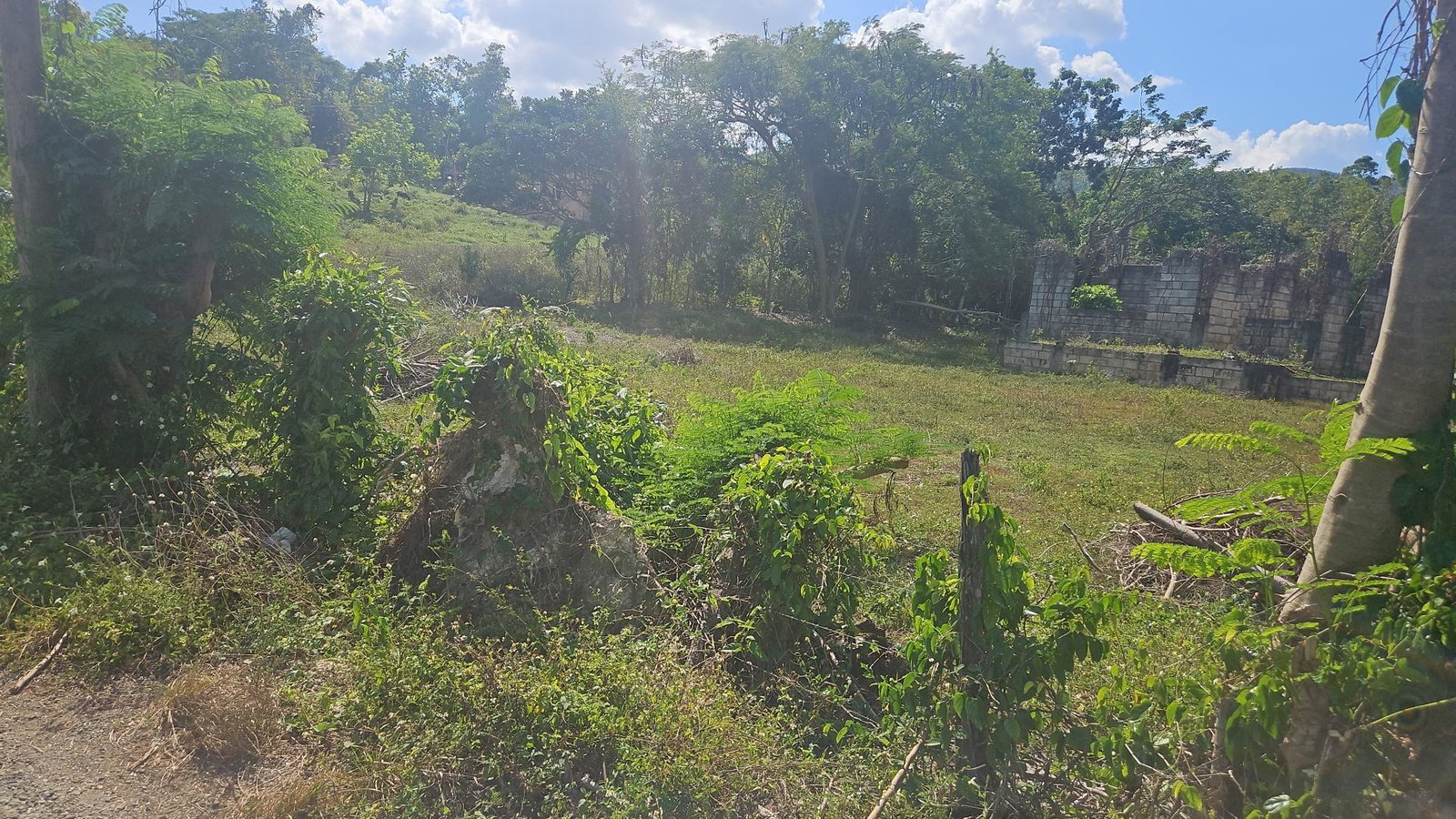 1.2-Acre-Residential-Lot-for-Sale-in-St.-Elizabeth-Jamaica Second image of Waterloo Burnt Ground, sa in Burnt Ground, St. Elizabeth, Jamaica - property is For Sale