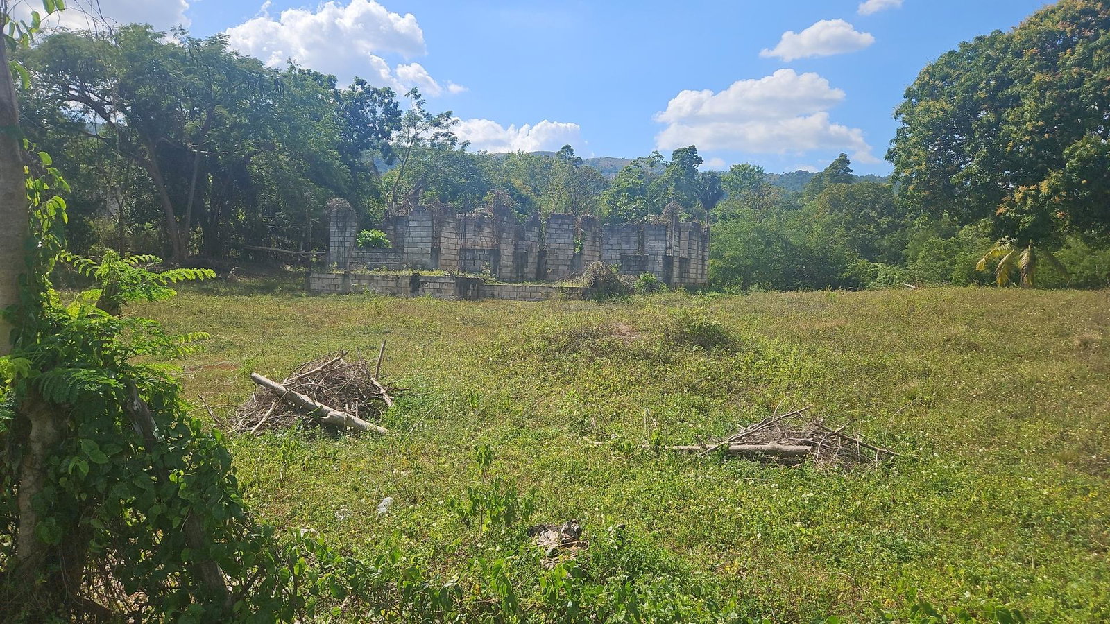 1.2-Acre-Residential-Lot-for-Sale-in-St.-Elizabeth-Jamaica Fourth image of Waterloo Burnt Ground, sa in Burnt Ground, St. Elizabeth, Jamaica - property is For Sale