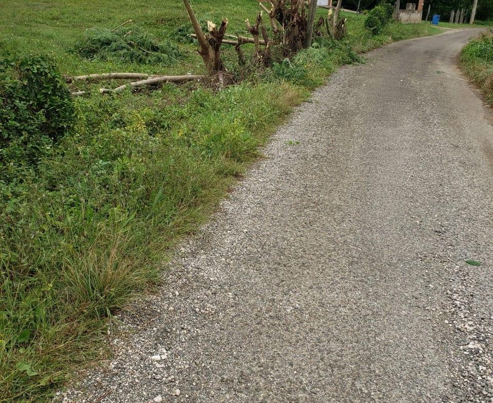 Fifth image of Waterloo Burnt Ground, sa in Burnt Ground, St. Elizabeth, Jamaica - property is For Sale