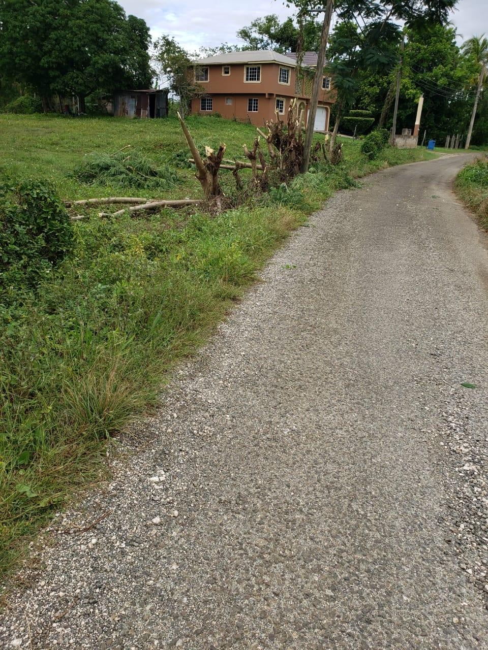 1.2-Acre-Residential-Lot-for-Sale-in-St.-Elizabeth-Jamaica Fifth image of Waterloo Burnt Ground, sa in Burnt Ground, St. Elizabeth, Jamaica - property is For Sale