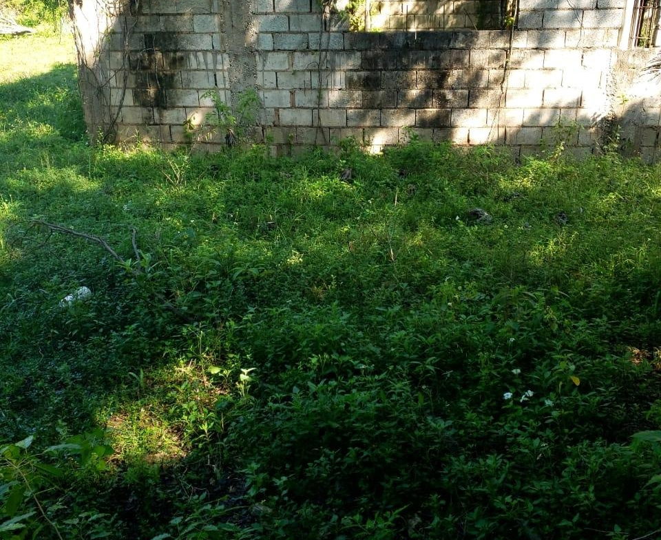 Sixth image of Waterloo Burnt Ground, sa in Burnt Ground, St. Elizabeth, Jamaica - property is For Sale