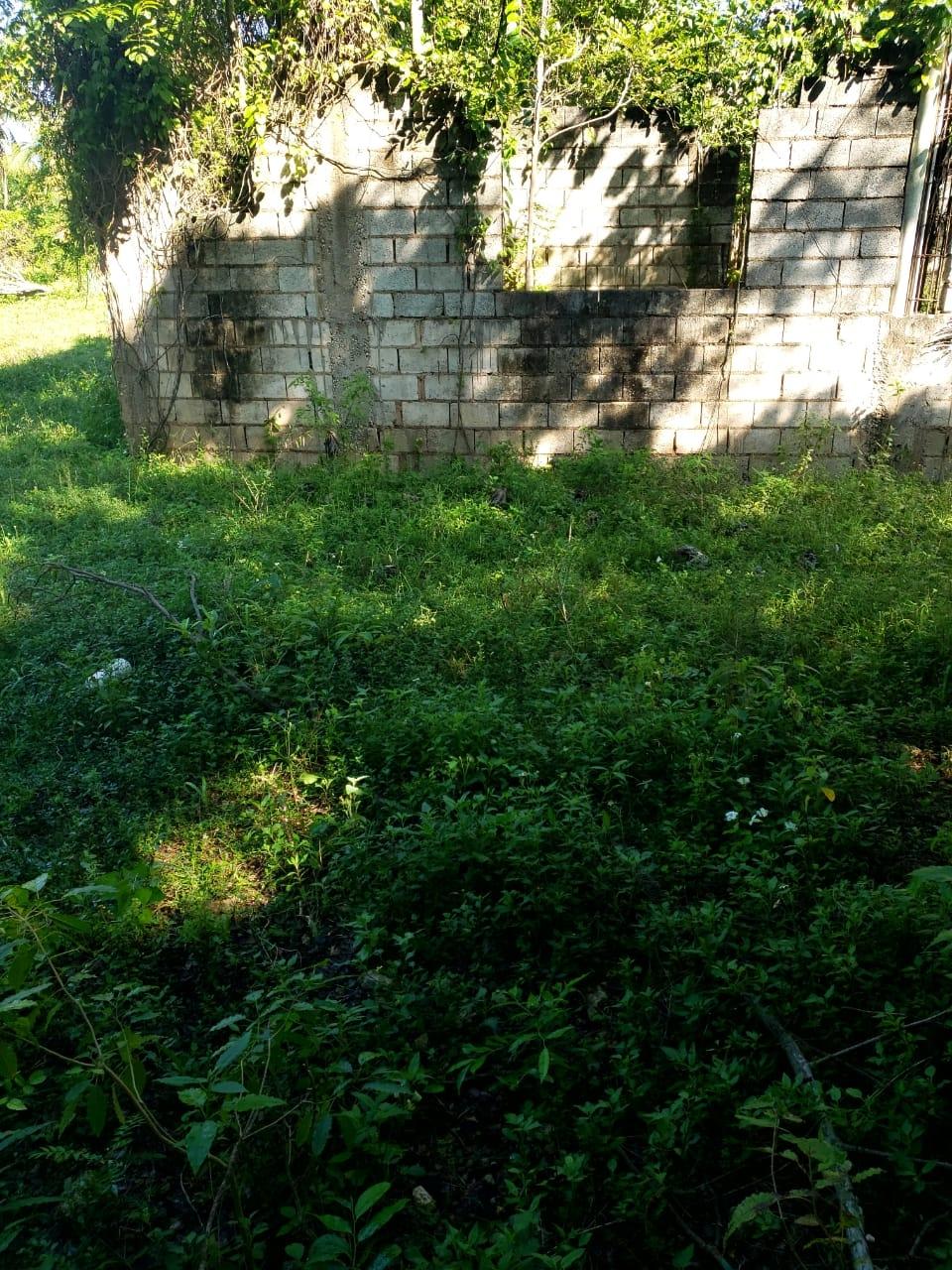 1.2-Acre-Residential-Lot-for-Sale-in-St.-Elizabeth-Jamaica Sixth image of Waterloo Burnt Ground, sa in Burnt Ground, St. Elizabeth, Jamaica - property is For Sale