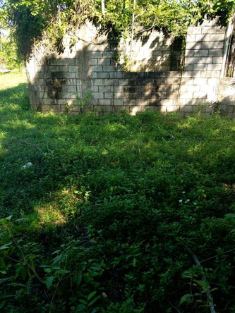 Sixth image of Waterloo Burnt Ground, sa in Burnt Ground, St. Elizabeth, Jamaica - property is For Sale