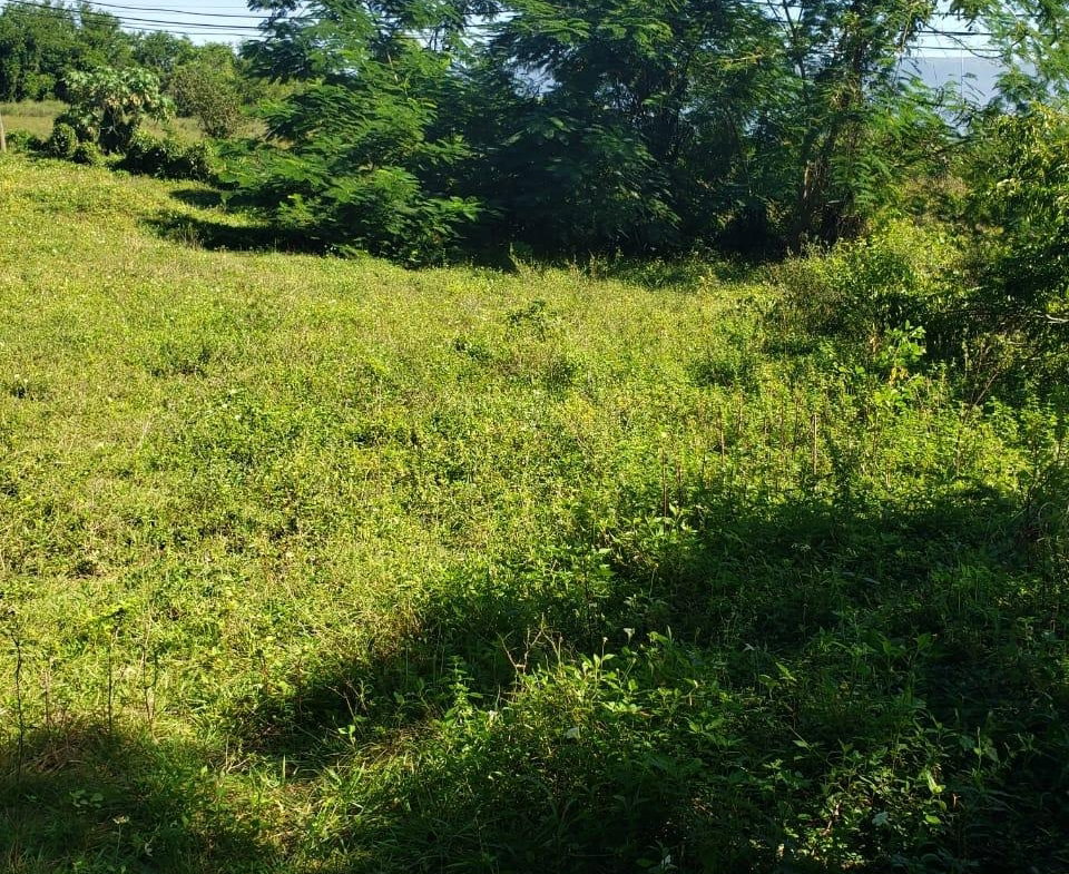 Seventh image of Waterloo Burnt Ground, sa in Burnt Ground, St. Elizabeth, Jamaica - property is For Sale