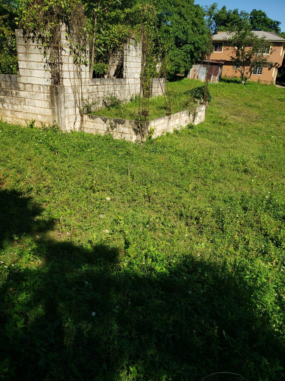 1.2-Acre-Residential-Lot-for-Sale-in-St.-Elizabeth-Jamaica Eighth image of Waterloo Burnt Ground, sa in Burnt Ground, St. Elizabeth, Jamaica - property is For Sale
