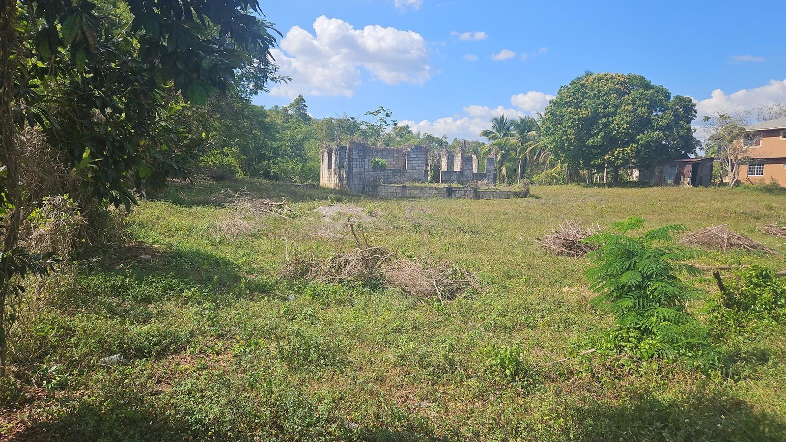 1.2-Acre-Residential-Lot-for-Sale-in-St.-Elizabeth-Jamaica First image of Waterloo Burnt Ground, sa in Burnt Ground, St. Elizabeth, Jamaica - property is For Sale