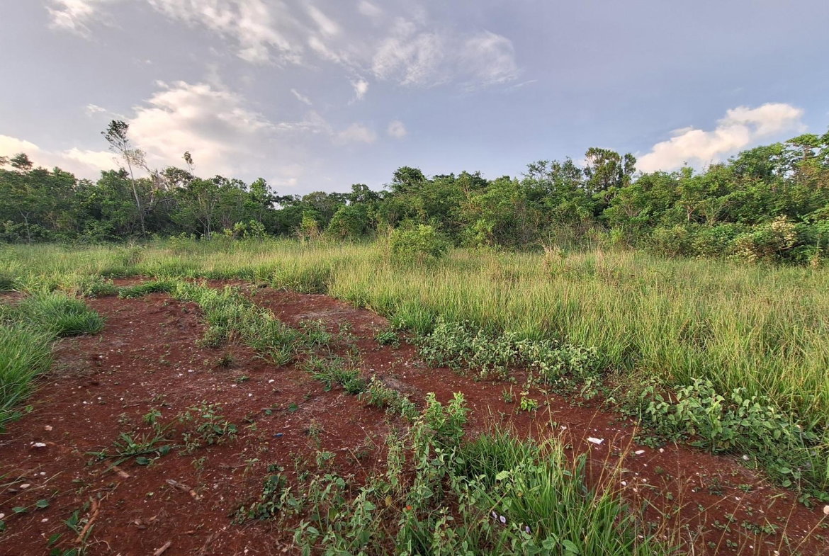 Second image of Bellevue Bellevue in Southfield, St. Elizabeth, Jamaica - property is For Sale