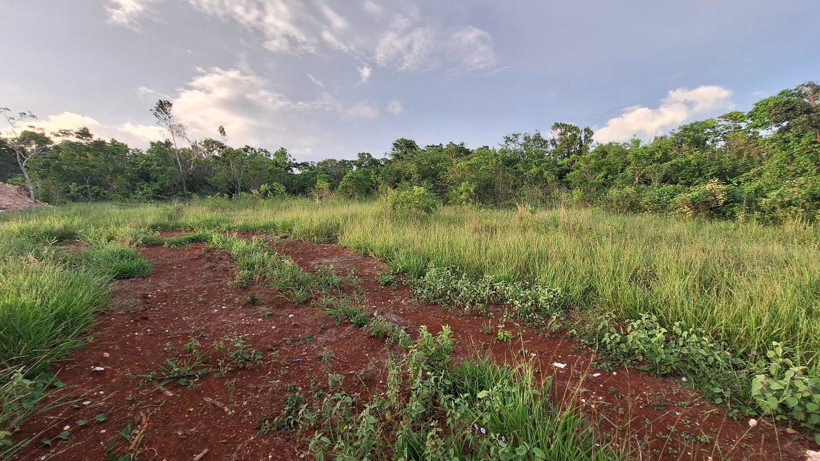 Second image of Bellevue Bellevue in Southfield, St. Elizabeth, Jamaica - property is For Sale