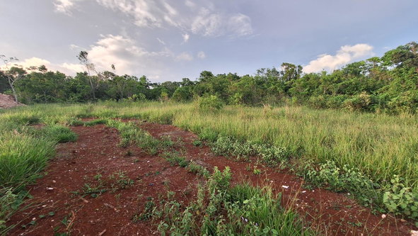 Second image of Bellevue Bellevue in Southfield, St. Elizabeth, Jamaica - property is For Sale