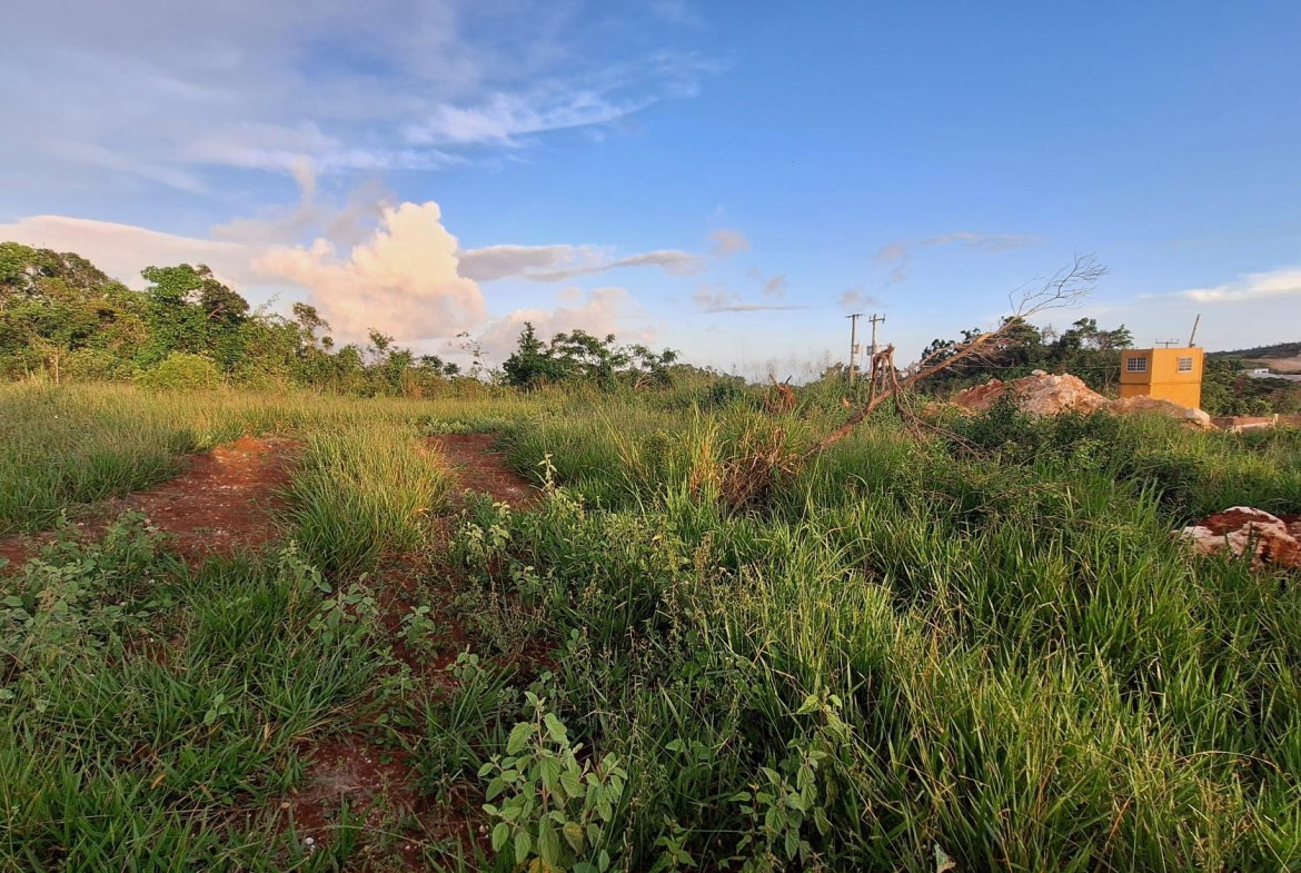 Twelfth image of Bellevue Bellevue in Southfield, St. Elizabeth, Jamaica - property is For Sale