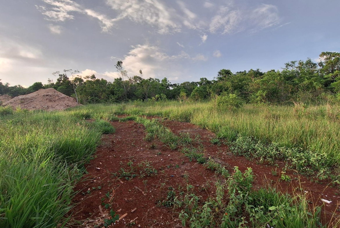First image of Bellevue Bellevue in Southfield, St. Elizabeth, Jamaica - property is For Sale