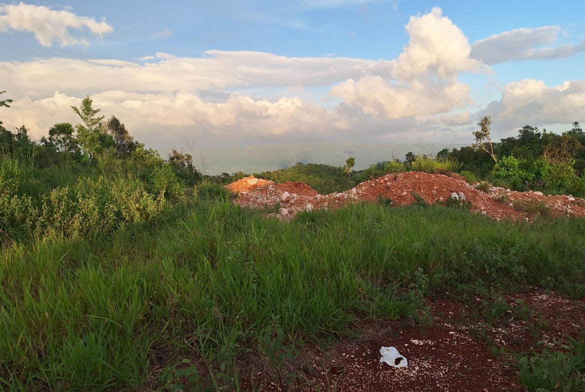 Third image of Bellevue Bellevue in Southfield, St. Elizabeth, Jamaica - property is For Sale