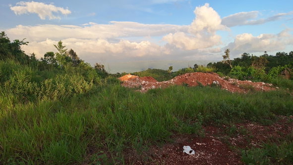 Third image of Bellevue Bellevue in Southfield, St. Elizabeth, Jamaica - property is For Sale