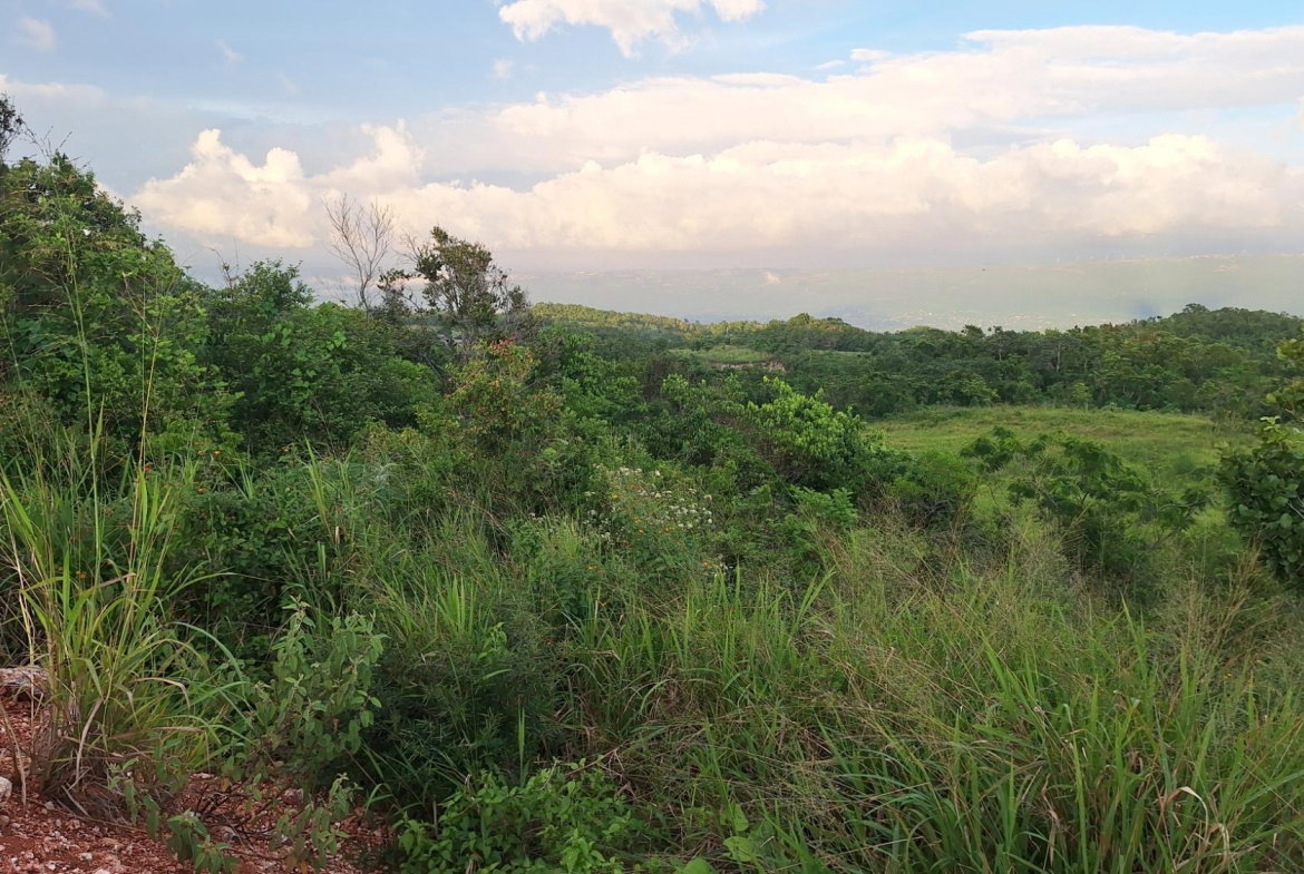 Fourth image of Bellevue Bellevue in Southfield, St. Elizabeth, Jamaica - property is For Sale