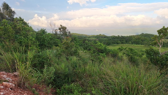 Fourth image of Bellevue Bellevue in Southfield, St. Elizabeth, Jamaica - property is For Sale