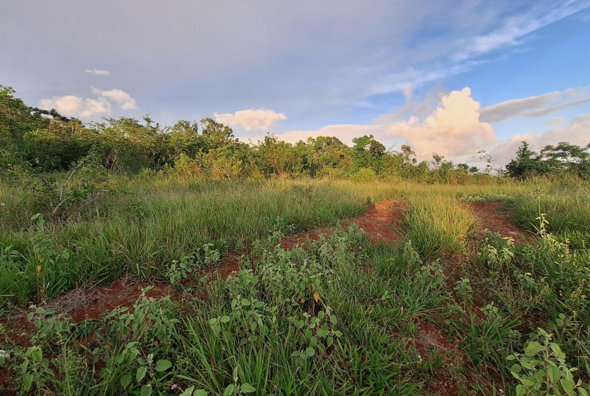 Fifth image of Bellevue Bellevue in Southfield, St. Elizabeth, Jamaica - property is For Sale