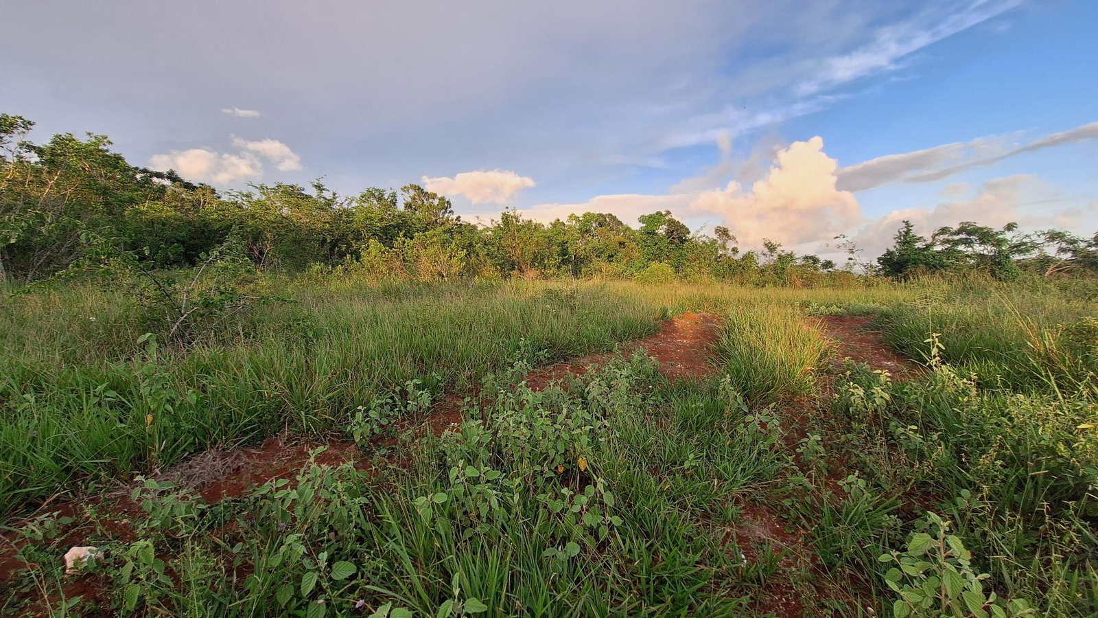 Fifth image of Bellevue Bellevue in Southfield, St. Elizabeth, Jamaica - property is For Sale