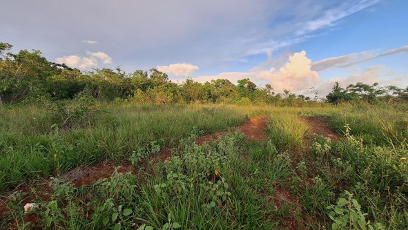 Fifth image of Bellevue Bellevue in Southfield, St. Elizabeth, Jamaica - property is For Sale