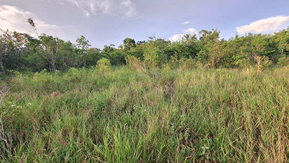 Sixth image of Bellevue Bellevue in Southfield, St. Elizabeth, Jamaica - property is For Sale