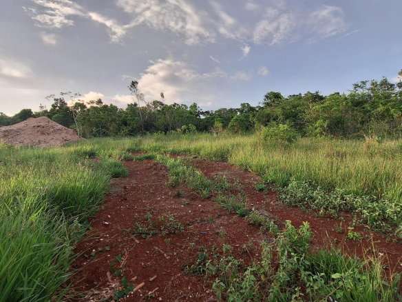 First image of Bellevue Bellevue in Southfield, St. Elizabeth, Jamaica - property is For Sale