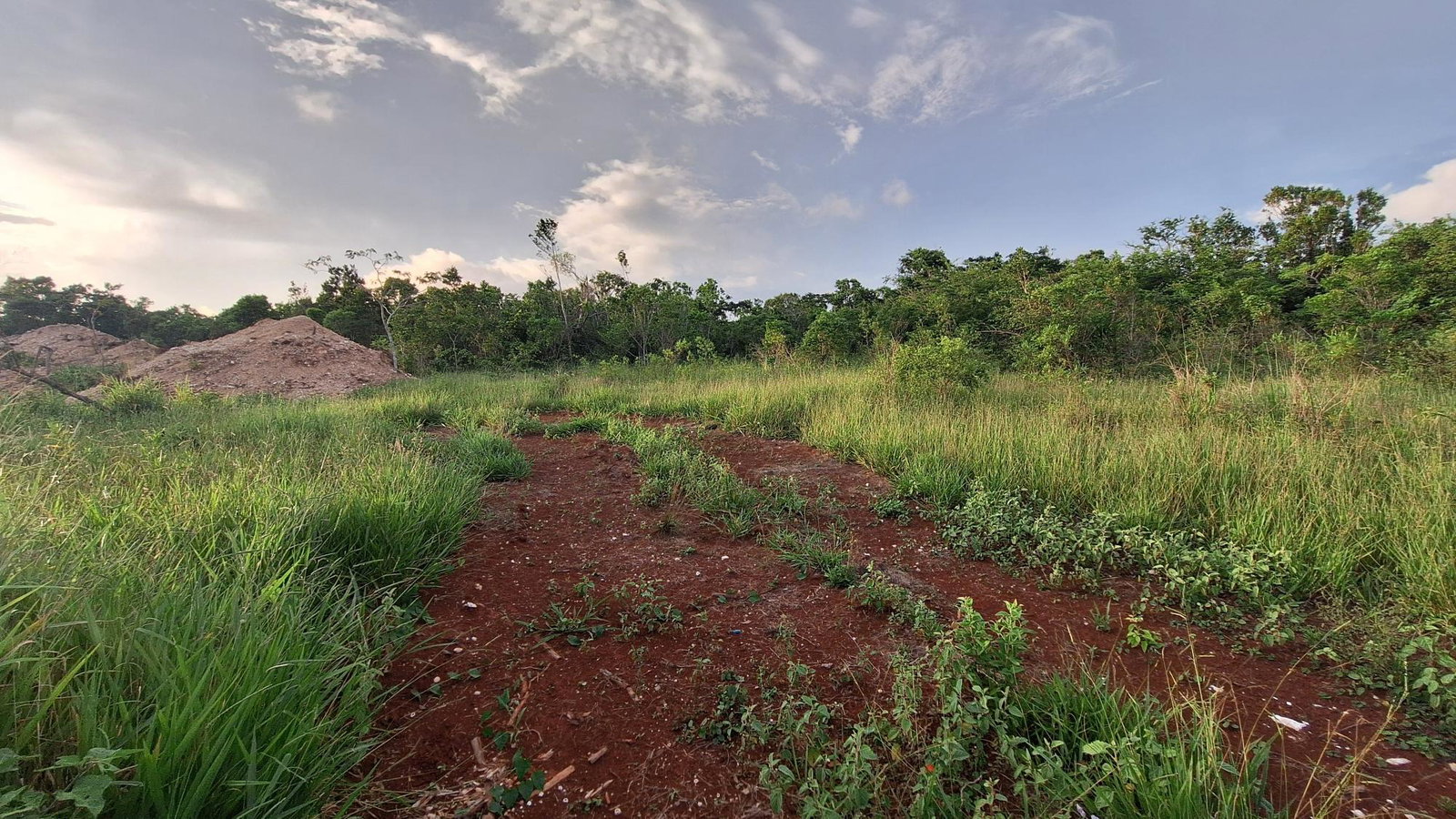 First image of Bellevue Bellevue in Southfield, St. Elizabeth, Jamaica - property is For Sale