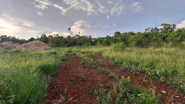 First image of Bellevue Bellevue in Southfield, St. Elizabeth, Jamaica - property is For Sale