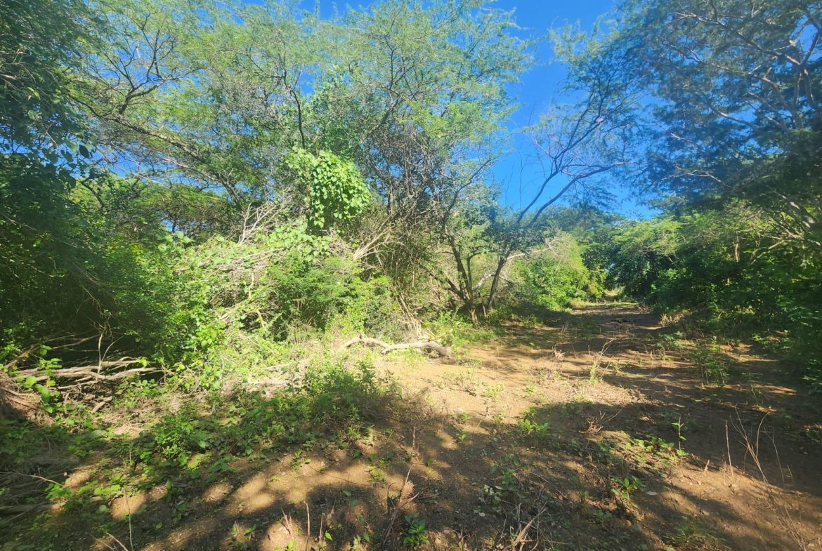 Second image of Bushy Park in Bushy Park, St. Catherine, Jamaica - property is For Sale