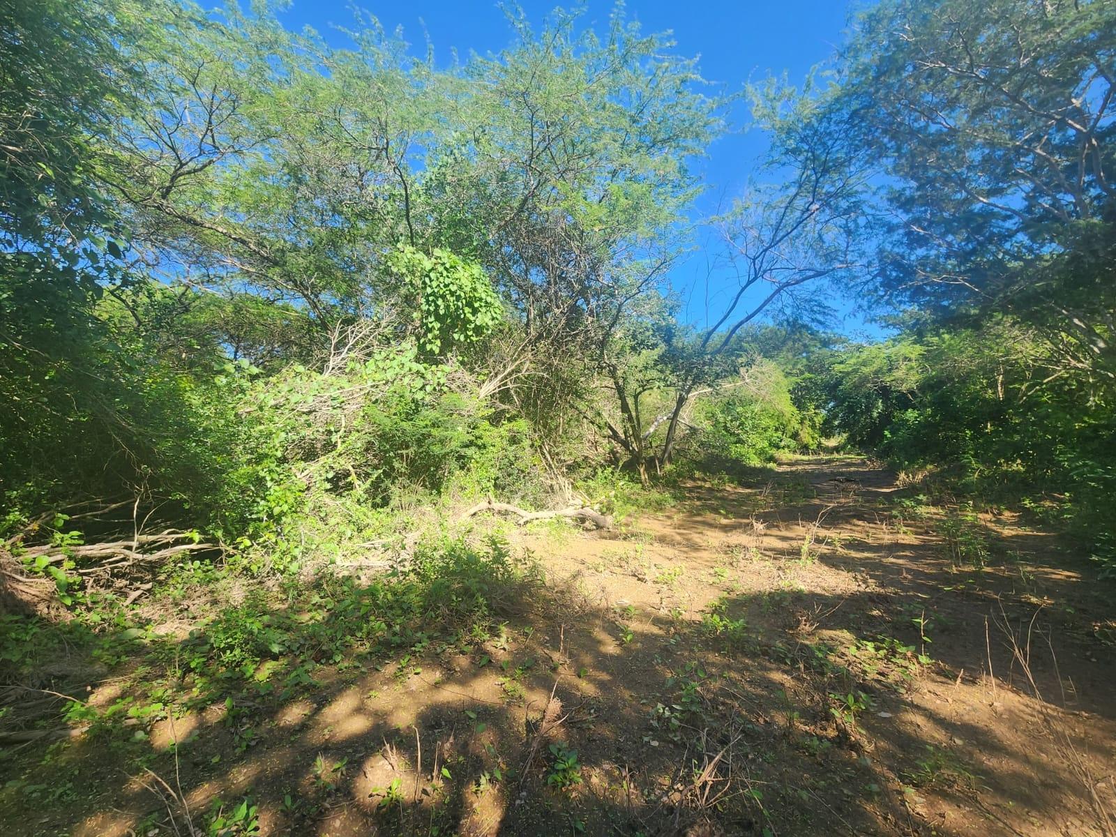 10-Acre-Farmland-for-Sale-in-Bushy-Park-St.-Catherine Second image of Bushy Park in Bushy Park, St. Catherine, Jamaica - property is For Sale