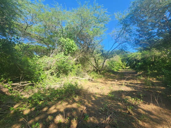 Second image of Bushy Park in Bushy Park, St. Catherine, Jamaica - property is For Sale