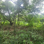 First image of Bushy Park in Bushy Park, St. Catherine, Jamaica - property is For Sale