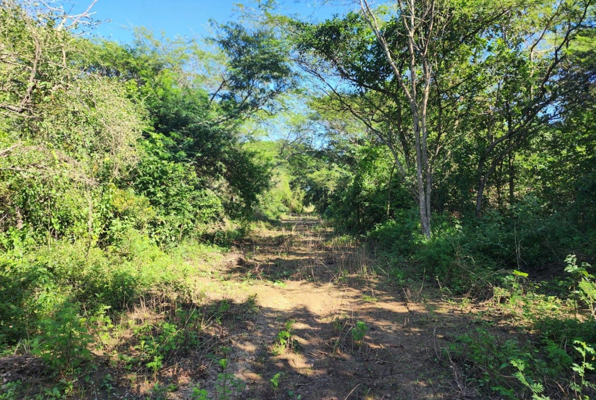 Third image of Bushy Park in Bushy Park, St. Catherine, Jamaica - property is For Sale