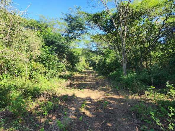 Third image of Bushy Park in Bushy Park, St. Catherine, Jamaica - property is For Sale