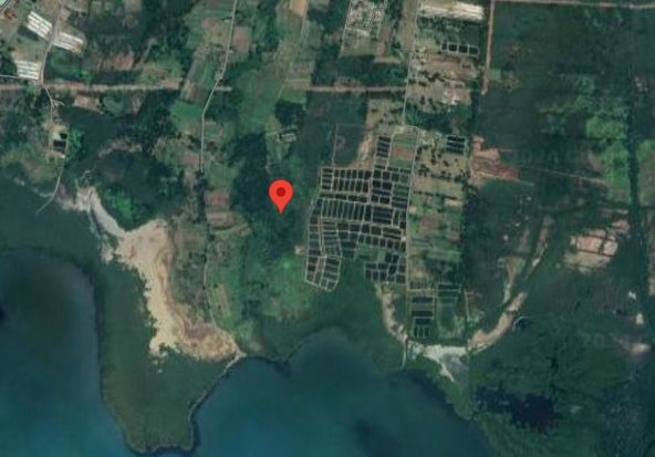 Fourth image of Bushy Park in Bushy Park, St. Catherine, Jamaica - property is For Sale
