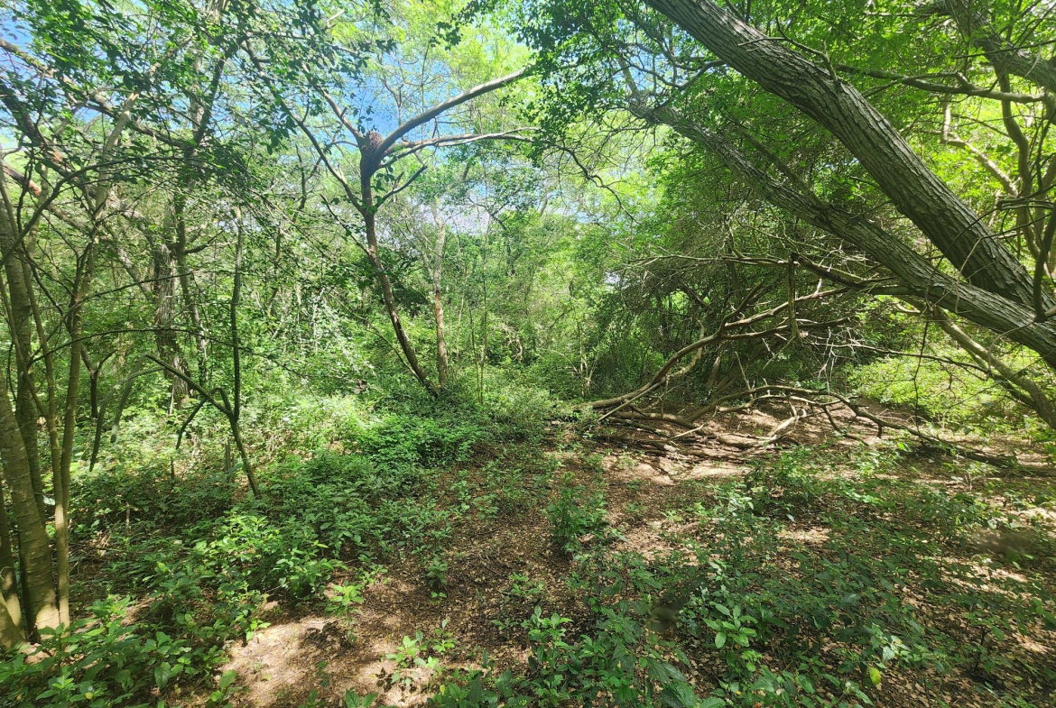 Seventh image of Bushy Park in Bushy Park, St. Catherine, Jamaica - property is For Sale
