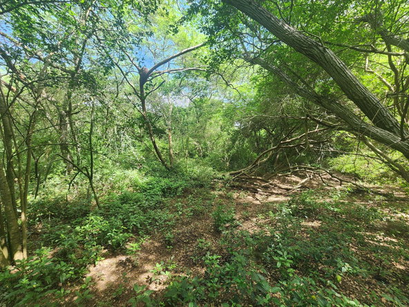 Seventh image of Bushy Park in Bushy Park, St. Catherine, Jamaica - property is For Sale