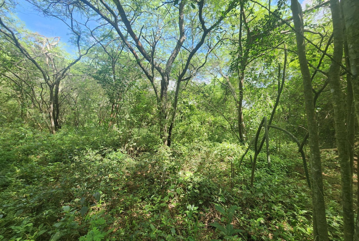Ninth image of Bushy Park in Bushy Park, St. Catherine, Jamaica - property is For Sale