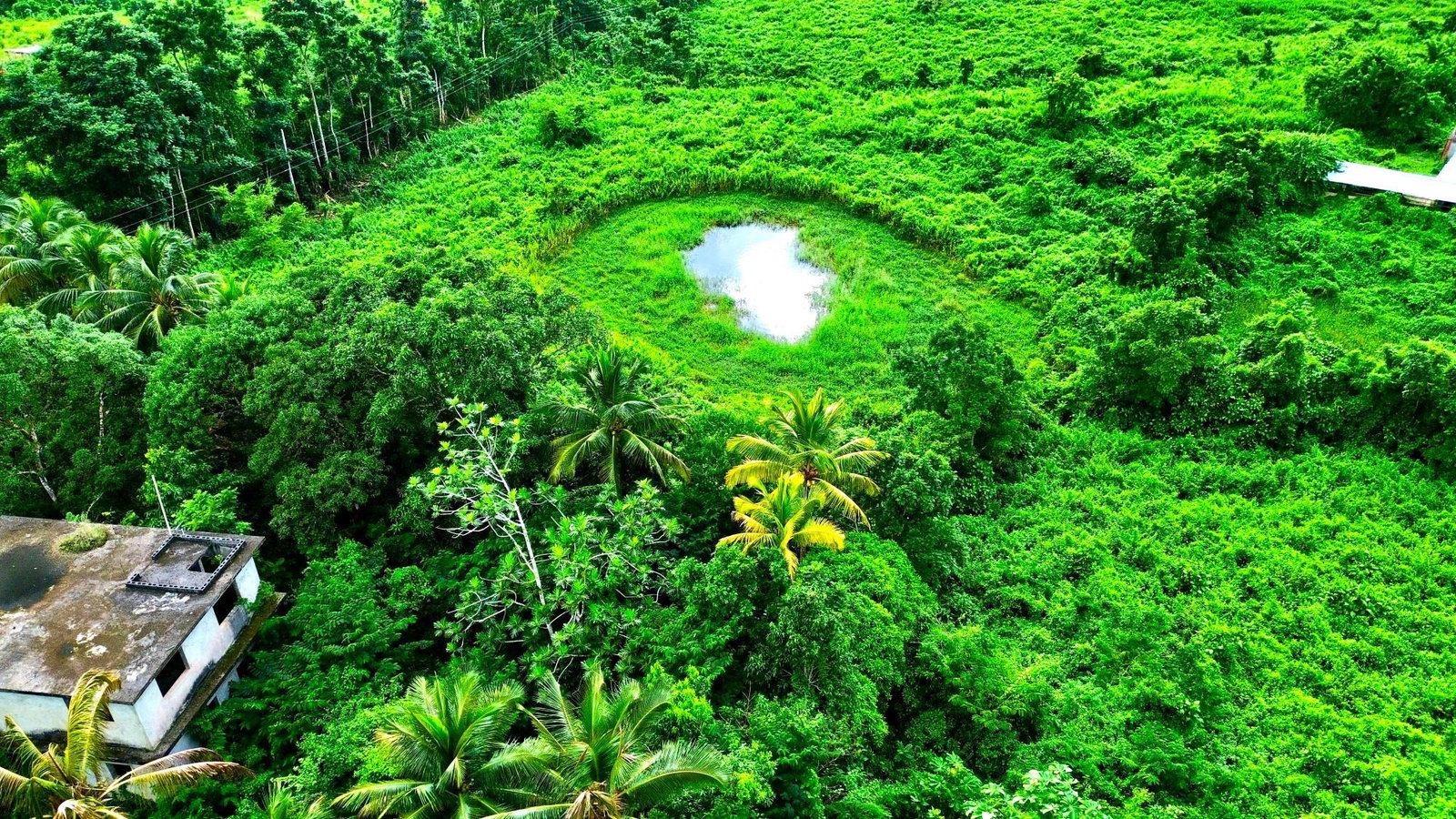 Fifth image of 90 Burnt Ground, Hanover in Ramble, Hanover, Jamaica - property is For Sale