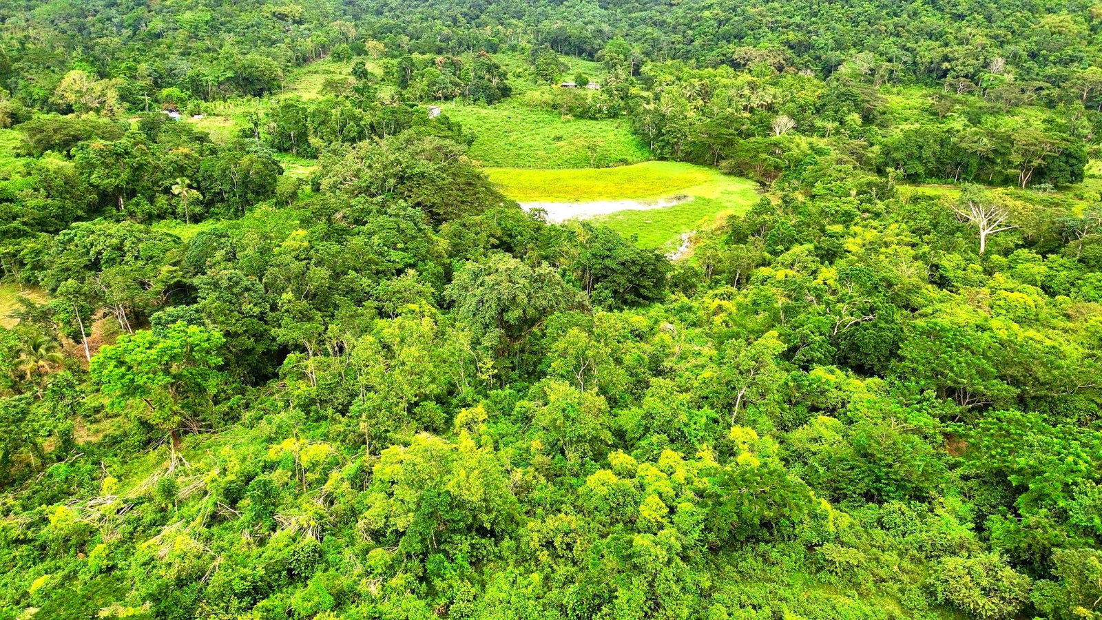 Sixth image of 90 Burnt Ground, Hanover in Ramble, Hanover, Jamaica - property is For Sale