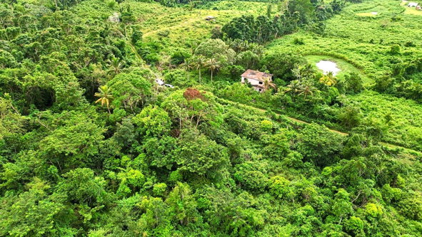 Seventh image of 90 Burnt Ground, Hanover in Ramble, Hanover, Jamaica - property is For Sale
