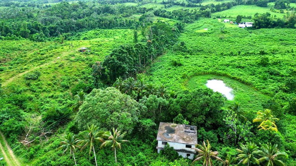 Ninth image of 90 Burnt Ground, Hanover in Ramble, Hanover, Jamaica - property is For Sale