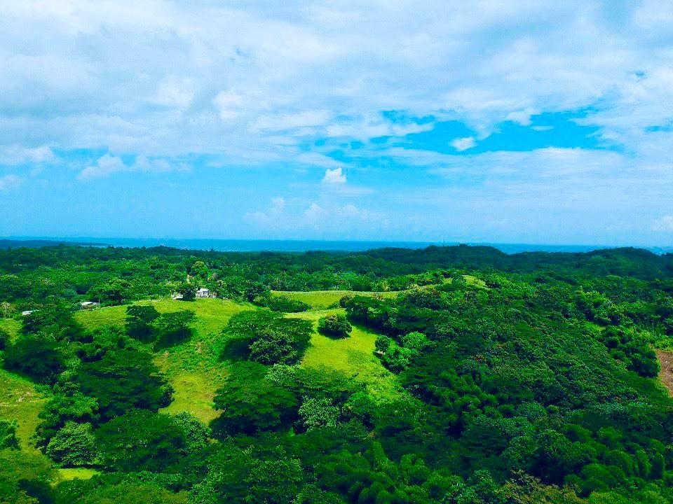 Second image of Rothsey Cove Harding Hall in Green Island, Hanover, Jamaica - property is For Rent