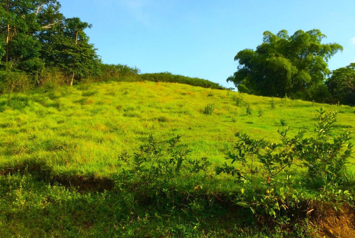 Eleventh image of Rothsey Cove Harding Hall in Green Island, Hanover, Jamaica - property is For Rent