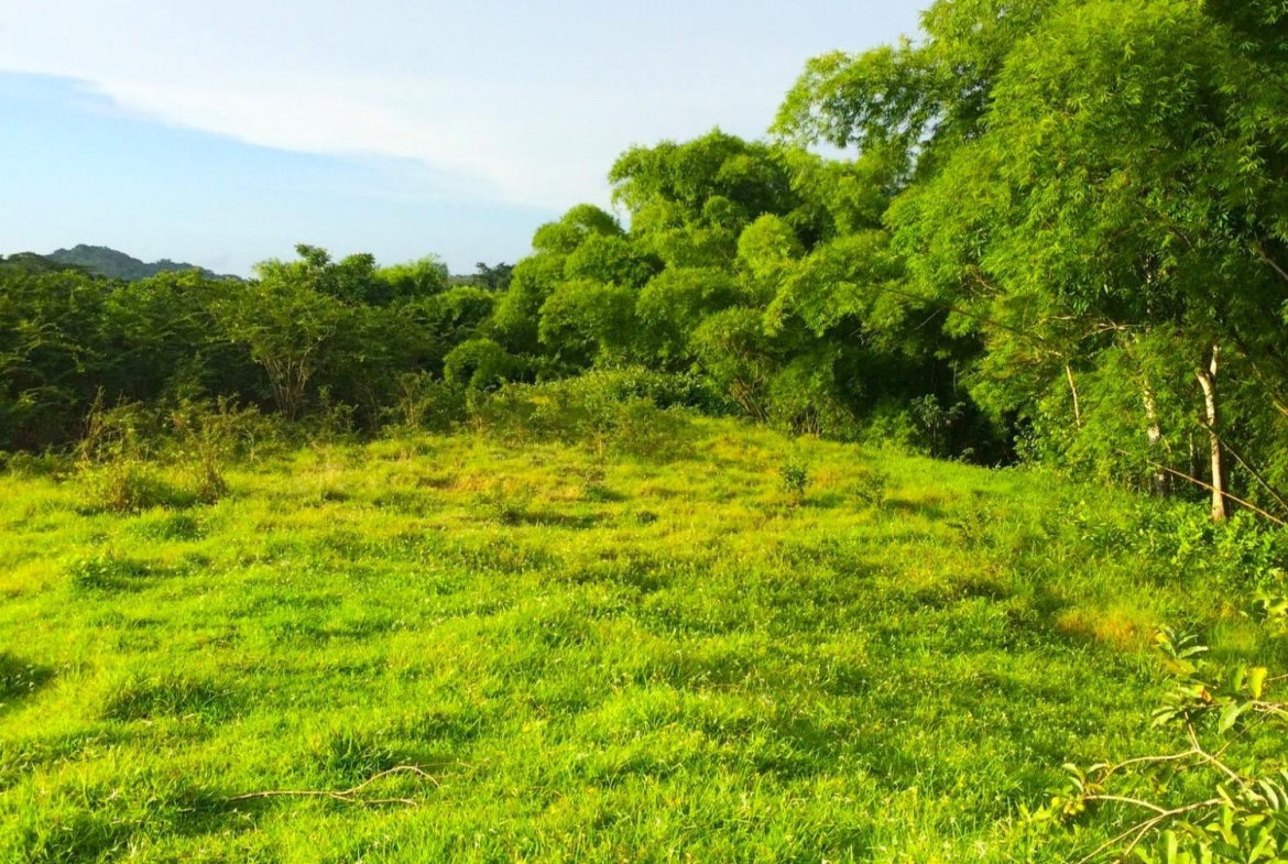 Twelfth image of Rothsey Cove Harding Hall in Green Island, Hanover, Jamaica - property is For Rent